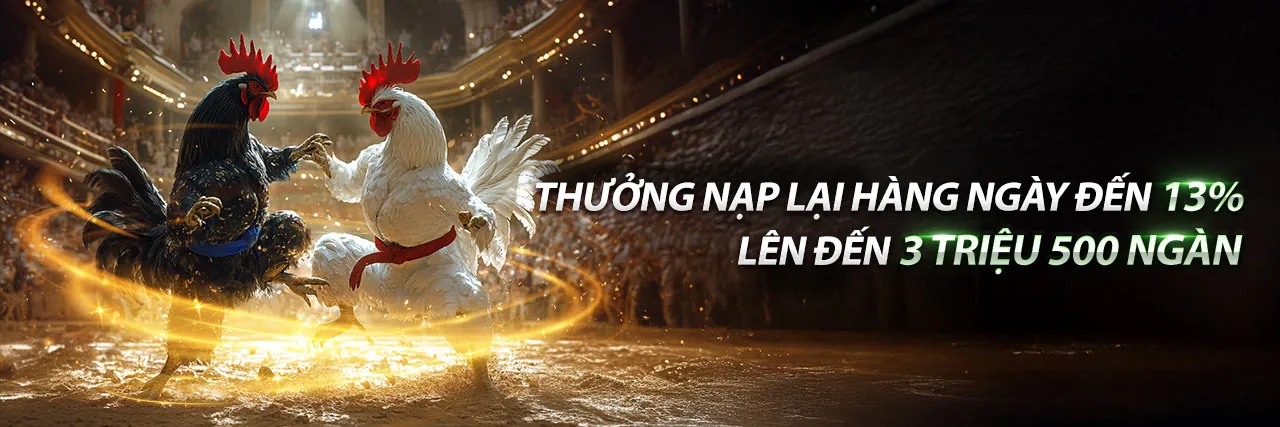 Hình ảnh đá gà Thomo kịch tính